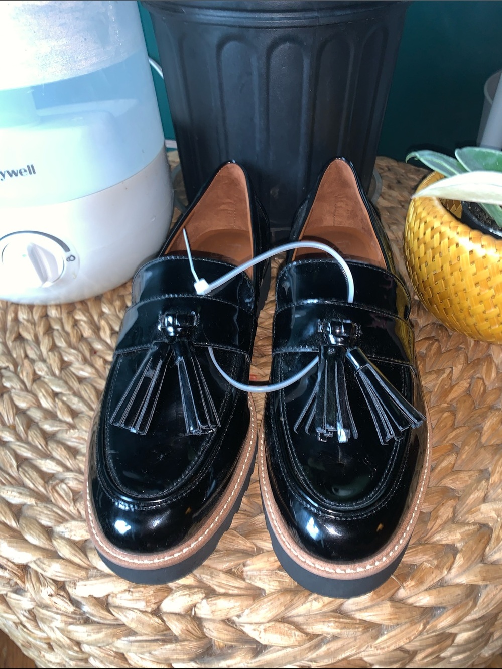 Franco Sarto Black Patent Tassel Loafers with Brown Trim
